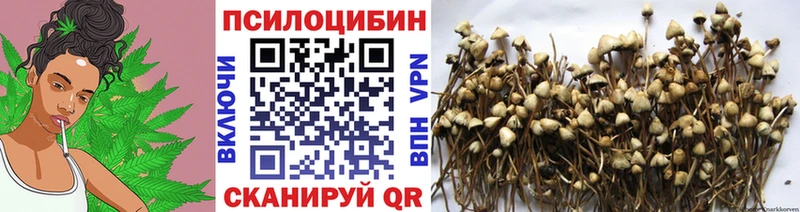 Галлюциногенные грибы Magic Shrooms  Шенкурск 